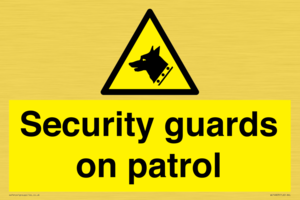 Security guards on patrol